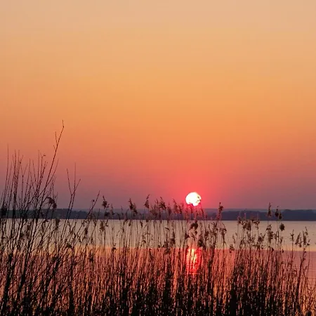 Dummerbrise